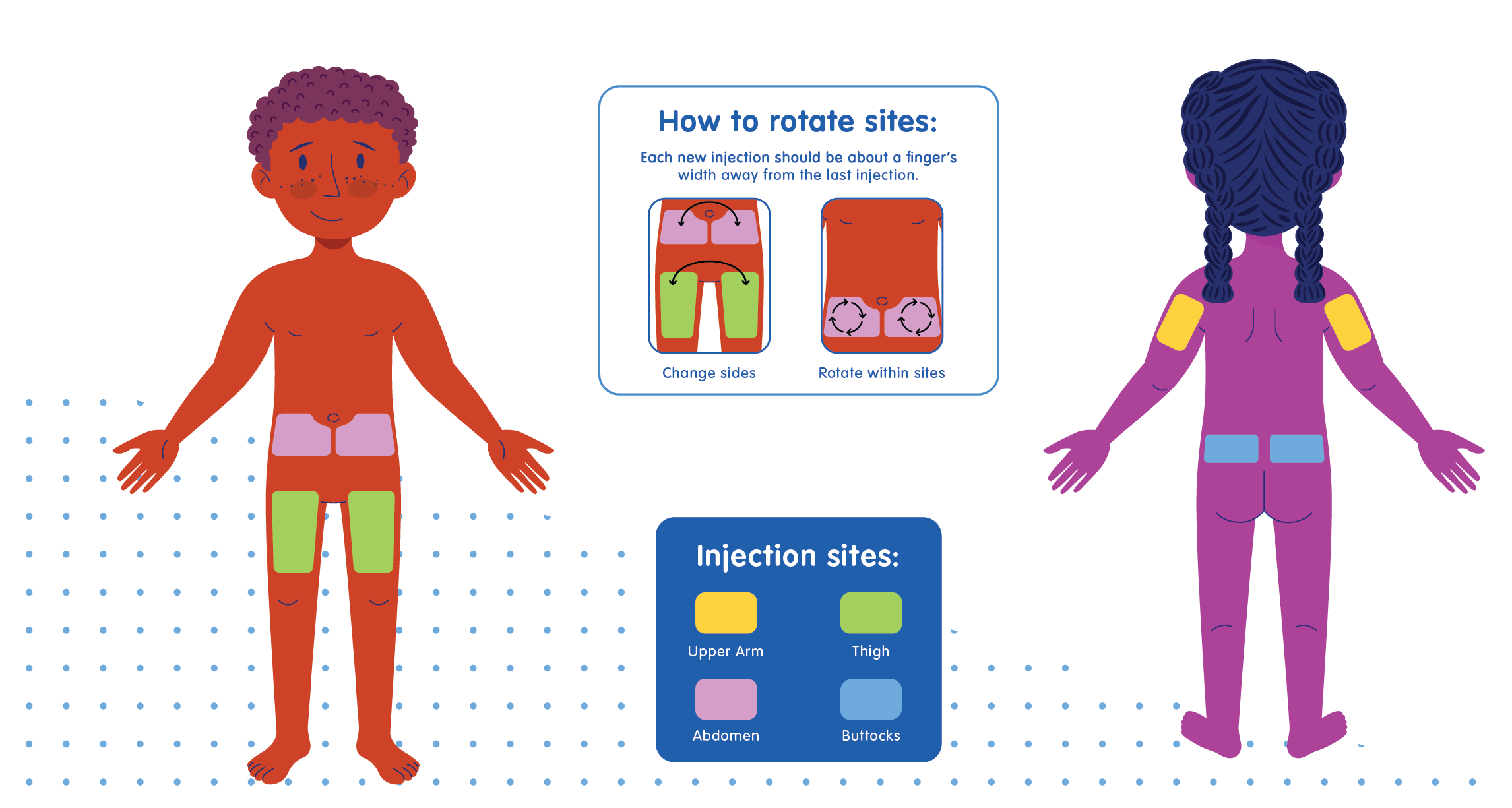 Graphic of male and female showcasing where on the body you can inject insulin. 