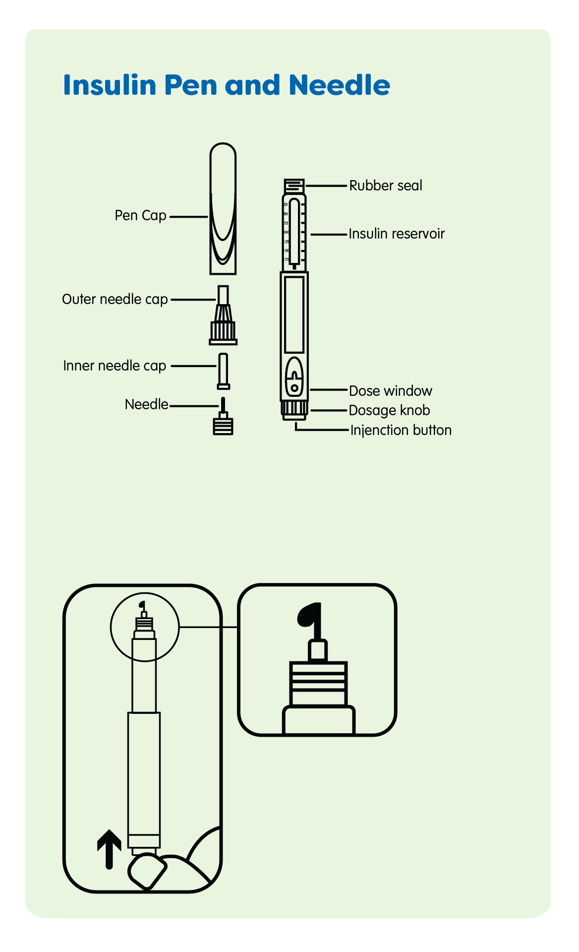 Graphic of different parts of an insulin pen and needle 