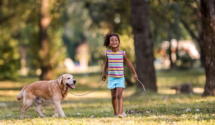 Young preteen girl walking in a park, carrying a stick and holding a dog on a leash.