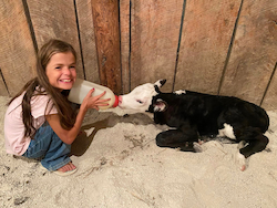 Young girl Kaydee bottle-feeds a cow